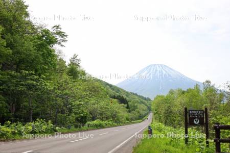 羊蹄山と国道276号線