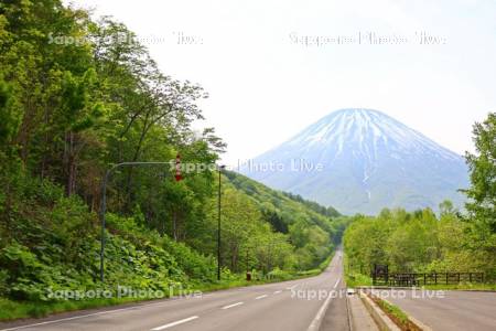 羊蹄山と国道276号線