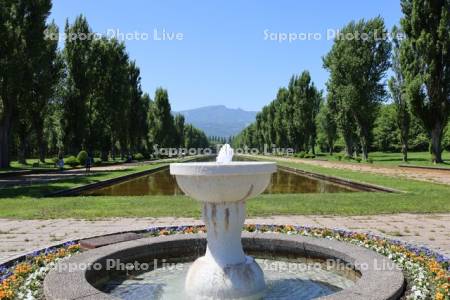 前田森林公園　サンクガーデンと手稲山