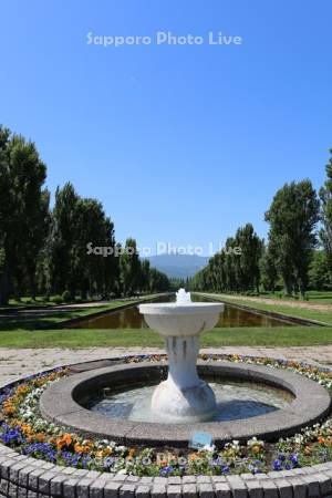 前田森林公園　サンクガーデンと手稲山