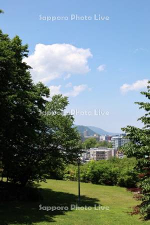 天神山緑地