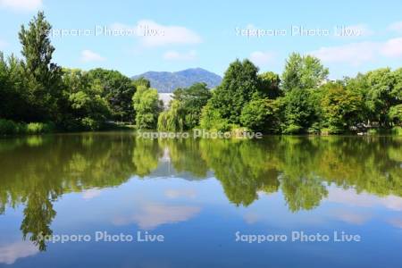 中島公園　菖蒲池