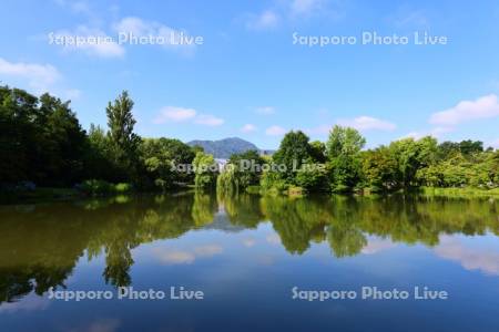 中島公園　菖蒲池