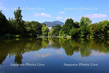 中島公園　菖蒲池
