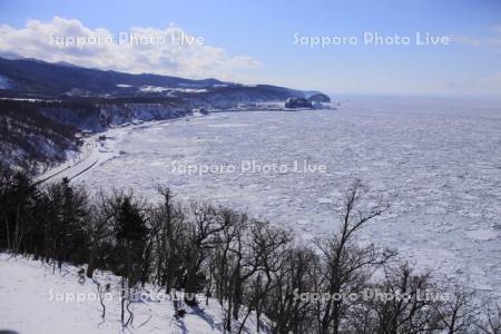 プユ二岬より流氷