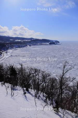 プユ二岬より流氷