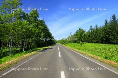 道路　道道９３号線