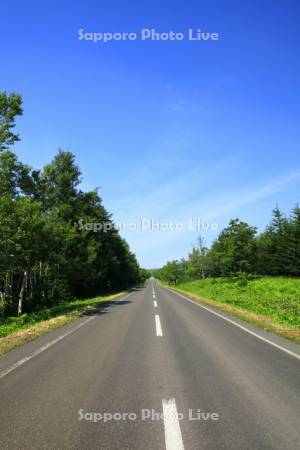 道路　道道９３号線