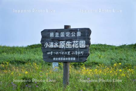 小清水原生花園　案内板