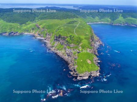 原生花園あやめヶ原半島