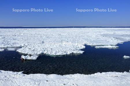 オホーツク海の流氷　ダイビング