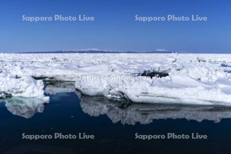 流氷と国後島