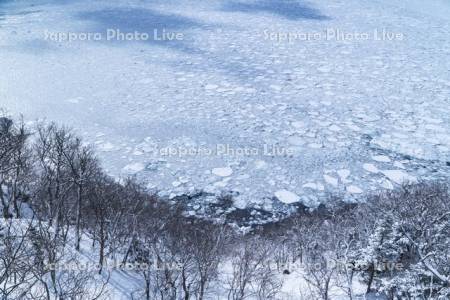 プユ二岬より流氷