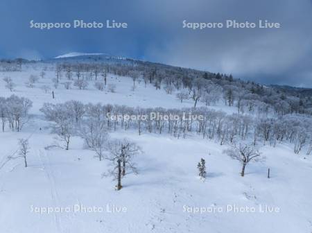 霧氷の藻琴山