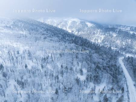 霧氷の藻琴山