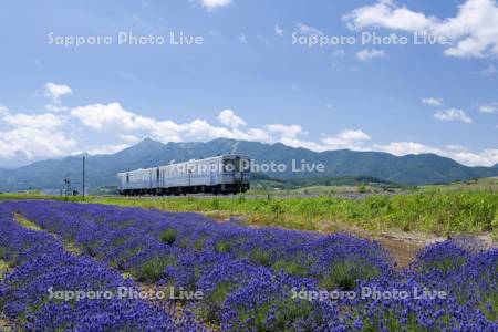 ノロッコ号