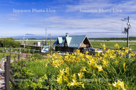 花盛りの小清水原生花園駅と斜里岳