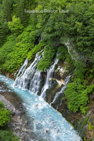 白ひげの滝