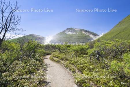 硫黄山と白エゾイソツツジ