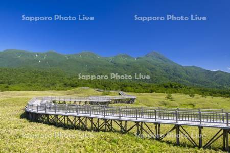 知床五湖高架木道と知床連山