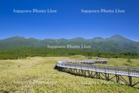 知床五湖高架木道と知床連山