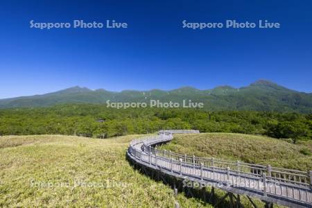 知床五湖高架木道と知床連山