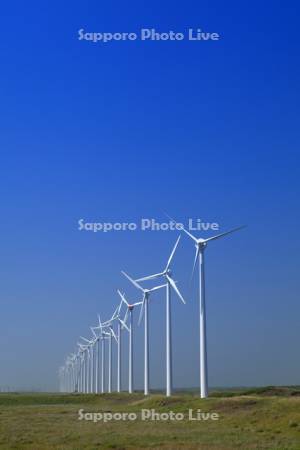 風力発電