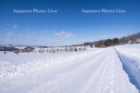 雪原の風景に雪道