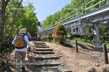 もーりすカー並行登山道