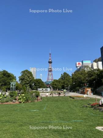 大通公園　テレビ塔