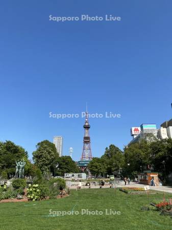 大通公園　テレビ塔