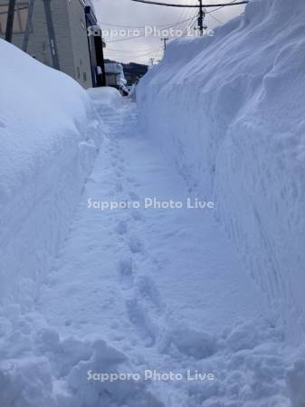 除雪された歩道