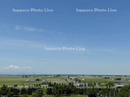 国道274・337号線と田園風景