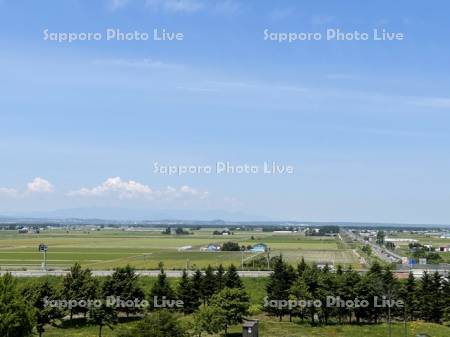 国道274・337号線と田園風景