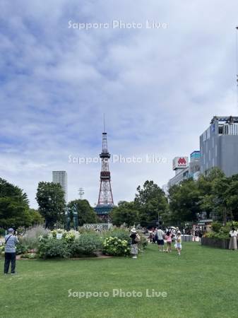 観光客と大通公園