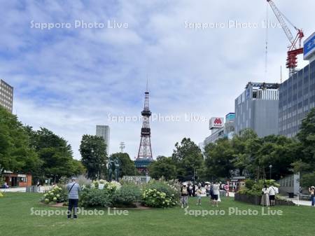 観光客と大通公園