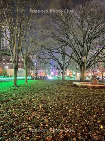 大通公園夜景　ホワイトイルミネーション