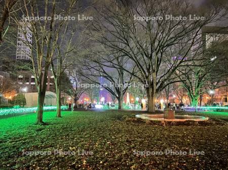 大通公園夜景　ホワイトイルミネーション