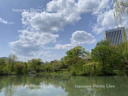 中島公園　菖蒲池