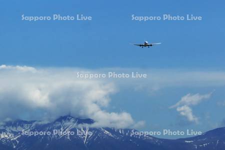 飛行機