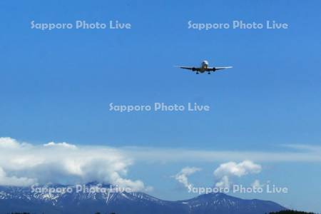 飛行機