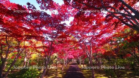 平岡樹芸センター