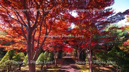 平岡樹芸センター