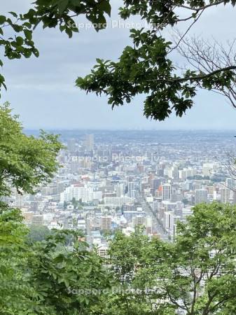 札幌市円山から市街展望