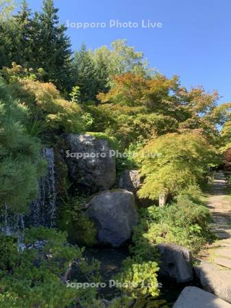 天神山緑地　日本庭園