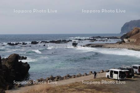 日本海サーフィン