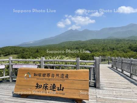 知床五湖　連山展望台