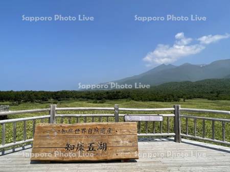 知床五湖　オコツク展望台