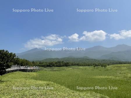 知床五湖　湖畔展望台